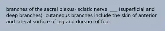 branches of the sacral plexus- sciatic nerve: ___ (superficial and deep branches)- cutaneous branches include the skin of anterior and lateral surface of leg and dorsum of foot.