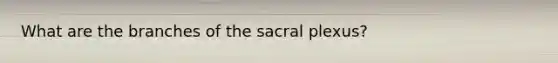 What are the branches of the sacral plexus?