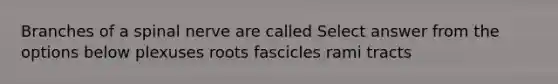 Branches of a spinal nerve are called Select answer from the options below plexuses roots fascicles rami tracts