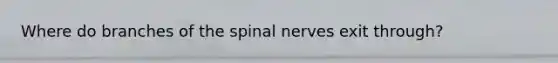 Where do branches of the spinal nerves exit through?