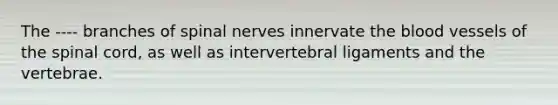 The ---- branches of <a href='https://www.questionai.com/knowledge/kyBL1dWgAx-spinal-nerves' class='anchor-knowledge'>spinal nerves</a> innervate <a href='https://www.questionai.com/knowledge/k7oXMfj7lk-the-blood' class='anchor-knowledge'>the blood</a> vessels of <a href='https://www.questionai.com/knowledge/kkAfzcJHuZ-the-spinal-cord' class='anchor-knowledge'>the spinal cord</a>, as well as intervertebral ligaments and the vertebrae.