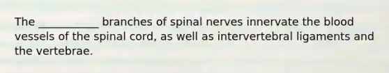 The ___________ branches of spinal nerves innervate the blood vessels of the spinal cord, as well as intervertebral ligaments and the vertebrae.