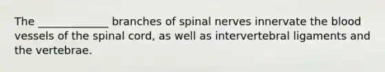 The _____________ branches of spinal nerves innervate the blood vessels of the spinal cord, as well as intervertebral ligaments and the vertebrae.