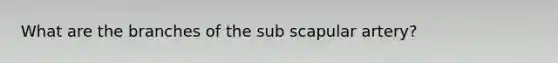 What are the branches of the sub scapular artery?