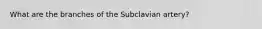 What are the branches of the Subclavian artery?