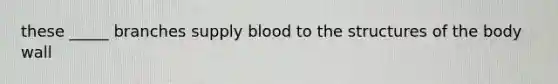 these _____ branches supply blood to the structures of the body wall