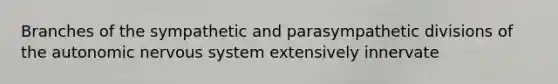 Branches of the sympathetic and parasympathetic divisions of <a href='https://www.questionai.com/knowledge/kMqcwgxBsH-the-autonomic-nervous-system' class='anchor-knowledge'>the autonomic nervous system</a> extensively innervate