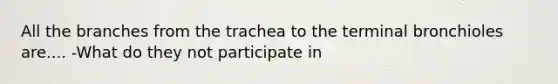 All the branches from the trachea to the terminal bronchioles are.... -What do they not participate in