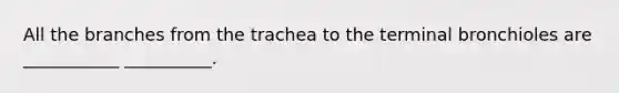 All the branches from the trachea to the terminal bronchioles are ___________ __________.