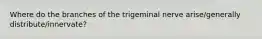 Where do the branches of the trigeminal nerve arise/generally distribute/innervate?