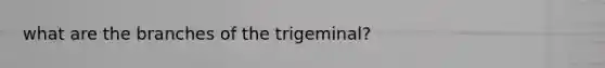 what are the branches of the trigeminal?