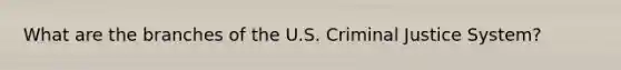 What are the branches of the U.S. Criminal Justice System?