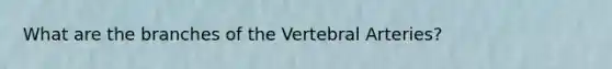 What are the branches of the Vertebral Arteries?