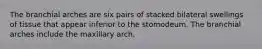 The branchial arches are six pairs of stacked bilateral swellings of tissue that appear inferior to the stomodeum. The branchial arches include the maxillary arch.
