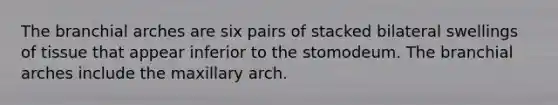 The branchial arches are six pairs of stacked bilateral swellings of tissue that appear inferior to the stomodeum. The branchial arches include the maxillary arch.