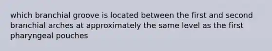 which branchial groove is located between the first and second branchial arches at approximately the same level as the first pharyngeal pouches