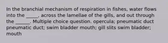 In the branchial mechanism of respiration in fishes, water flows into the _____, across the lamellae of the gills, and out through the ______. Multiple choice question. opercula; pneumatic duct pneumatic duct; swim bladder mouth; gill slits swim bladder; mouth