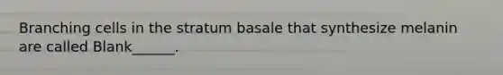 Branching cells in the stratum basale that synthesize melanin are called Blank______.