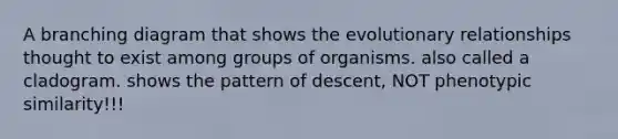 A branching diagram that shows the evolutionary relationships thought to exist among groups of organisms. also called a cladogram. shows the pattern of descent, NOT phenotypic similarity!!!