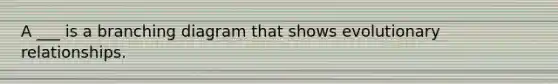 A ___ is a branching diagram that shows evolutionary relationships.