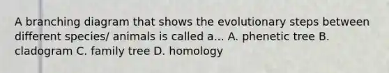 A branching diagram that shows the evolutionary steps between different species/ animals is called a... A. phenetic tree B. cladogram C. family tree D. homology