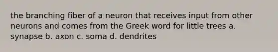 the branching fiber of a neuron that receives input from other neurons and comes from the Greek word for little trees a. synapse b. axon c. soma d. dendrites