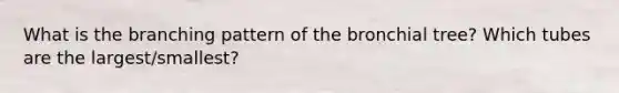 What is the branching pattern of the bronchial tree? Which tubes are the largest/smallest?