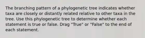 The branching pattern of a phylogenetic tree indicates whether taxa are closely or distantly related relative to other taxa in the tree. Use this phylogenetic tree to determine whether each statement is true or false. Drag "True" or "False" to the end of each statement.