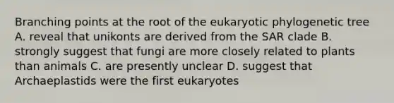 Branching points at the root of the eukaryotic phylogenetic tree A. reveal that unikonts are derived from the SAR clade B. strongly suggest that fungi are more closely related to plants than animals C. are presently unclear D. suggest that Archaeplastids were the first eukaryotes