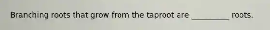 Branching roots that grow from the taproot are __________ roots.