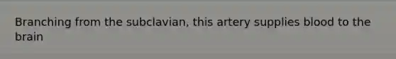 Branching from the subclavian, this artery supplies blood to the brain