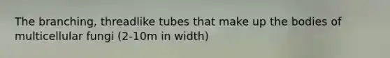 The branching, threadlike tubes that make up the bodies of multicellular fungi (2-10m in width)