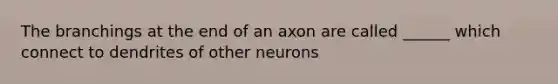 The branchings at the end of an axon are called ______ which connect to dendrites of other neurons