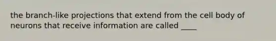 the branch-like projections that extend from the cell body of neurons that receive information are called ____