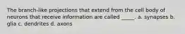 The branch-like projections that extend from the cell body of neurons that receive information are called _____. a. synapses b. glia c. dendrites d. axons