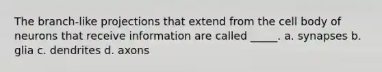 The branch-like projections that extend from the cell body of neurons that receive information are called _____. a. synapses b. glia c. dendrites d. axons
