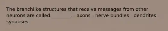 The branchlike structures that receive messages from other neurons are called ________. - axons - nerve bundles - dendrites - synapses