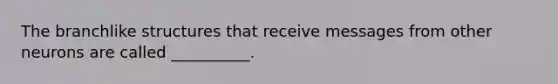 The branchlike structures that receive messages from other neurons are called __________.