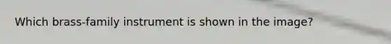Which brass-family instrument is shown in the image?