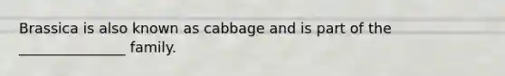 Brassica is also known as cabbage and is part of the​ _______________ family.