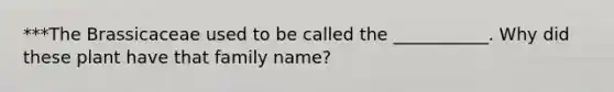 ***The Brassicaceae used to be called the ___________. Why did these plant have that family name?