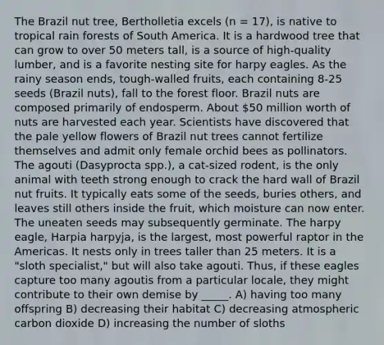 The Brazil nut tree, Bertholletia excels (n = 17), is native to tropical rain forests of South America. It is a hardwood tree that can grow to over 50 meters tall, is a source of high-quality lumber, and is a favorite nesting site for harpy eagles. As the rainy season ends, tough-walled fruits, each containing 8-25 seeds (Brazil nuts), fall to the forest floor. Brazil nuts are composed primarily of endosperm. About 50 million worth of nuts are harvested each year. Scientists have discovered that the pale yellow flowers of Brazil nut trees cannot fertilize themselves and admit only female orchid bees as pollinators. The agouti (Dasyprocta spp.), a cat-sized rodent, is the only animal with teeth strong enough to crack the hard wall of Brazil nut fruits. It typically eats some of the seeds, buries others, and leaves still others inside the fruit, which moisture can now enter. The uneaten seeds may subsequently germinate. The harpy eagle, Harpia harpyja, is the largest, most powerful raptor in the Americas. It nests only in trees taller than 25 meters. It is a "sloth specialist," but will also take agouti. Thus, if these eagles capture too many agoutis from a particular locale, they might contribute to their own demise by _____. A) having too many offspring B) decreasing their habitat C) decreasing atmospheric carbon dioxide D) increasing the number of sloths