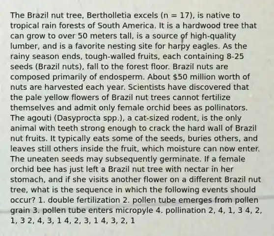 The Brazil nut tree, Bertholletia excels (n = 17), is native to tropical rain forests of South America. It is a hardwood tree that can grow to over 50 meters tall, is a source of high-quality lumber, and is a favorite nesting site for harpy eagles. As the rainy season ends, tough-walled fruits, each containing 8-25 seeds (Brazil nuts), fall to the forest floor. Brazil nuts are composed primarily of endosperm. About 50 million worth of nuts are harvested each year. Scientists have discovered that the pale yellow flowers of Brazil nut trees cannot fertilize themselves and admit only female orchid bees as pollinators. The agouti (Dasyprocta spp.), a cat-sized rodent, is the only animal with teeth strong enough to crack the hard wall of Brazil nut fruits. It typically eats some of the seeds, buries others, and leaves still others inside the fruit, which moisture can now enter. The uneaten seeds may subsequently germinate. If a female orchid bee has just left a Brazil nut tree with nectar in her stomach, and if she visits another flower on a different Brazil nut tree, what is the sequence in which the following events should occur? 1. double fertilization 2. pollen tube emerges from pollen grain 3. pollen tube enters micropyle 4. pollination 2, 4, 1, 3 4, 2, 1, 3 2, 4, 3, 1 4, 2, 3, 1 4, 3, 2, 1