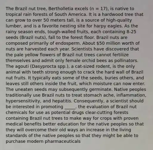 The Brazil nut tree, Bertholletia excels (n = 17), is native to tropical rain forests of South America. It is a hardwood tree that can grow to over 50 meters tall, is a source of high-quality lumber, and is a favorite nesting site for harpy eagles. As the rainy season ends, tough-walled fruits, each containing 8-25 seeds (Brazil nuts), fall to the forest floor. Brazil nuts are composed primarily of endosperm. About 50 million worth of nuts are harvested each year. Scientists have discovered that the pale yellow flowers of Brazil nut trees cannot fertilize themselves and admit only female orchid bees as pollinators. The agouti (Dasyprocta spp.), a cat-sized rodent, is the only animal with teeth strong enough to crack the hard wall of Brazil nut fruits. It typically eats some of the seeds, buries others, and leaves still others inside the fruit, which moisture can now enter. The uneaten seeds may subsequently germinate. Native peoples traditionally use Brazil nuts to treat stomach ache, inflammation, hypersensitivity, and hepatitis. Consequently, a scientist should be interested in promoting _____. the evaluation of Brazil nut chemicals for use as potential drugs clear-cutting forests containing Brazil nut trees to make way for crops with proven medical benefits better education for the native peoples so that they will overcome their old ways an increase in the living standards of the native peoples so that they might be able to purchase modern pharmaceuticals