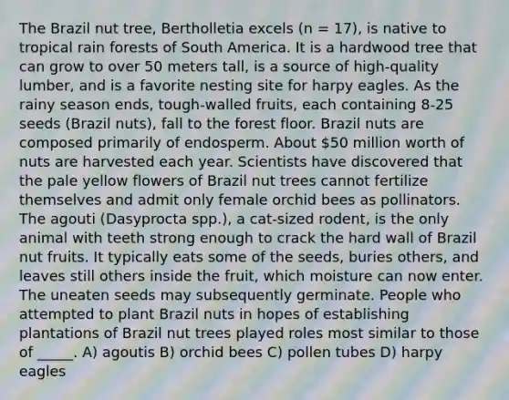 The Brazil nut tree, Bertholletia excels (n = 17), is native to tropical rain forests of South America. It is a hardwood tree that can grow to over 50 meters tall, is a source of high-quality lumber, and is a favorite nesting site for harpy eagles. As the rainy season ends, tough-walled fruits, each containing 8-25 seeds (Brazil nuts), fall to the forest floor. Brazil nuts are composed primarily of endosperm. About 50 million worth of nuts are harvested each year. Scientists have discovered that the pale yellow flowers of Brazil nut trees cannot fertilize themselves and admit only female orchid bees as pollinators. The agouti (Dasyprocta spp.), a cat-sized rodent, is the only animal with teeth strong enough to crack the hard wall of Brazil nut fruits. It typically eats some of the seeds, buries others, and leaves still others inside the fruit, which moisture can now enter. The uneaten seeds may subsequently germinate. People who attempted to plant Brazil nuts in hopes of establishing plantations of Brazil nut trees played roles most similar to those of _____. A) agoutis B) orchid bees C) pollen tubes D) harpy eagles