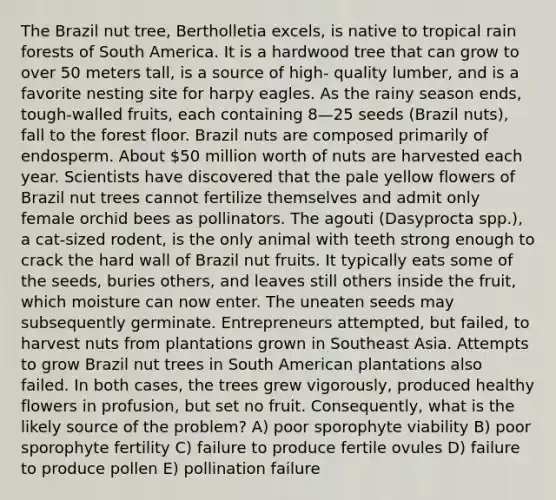 The Brazil nut tree, Bertholletia excels, is native to tropical rain forests of South America. It is a hardwood tree that can grow to over 50 meters tall, is a source of high- quality lumber, and is a favorite nesting site for harpy eagles. As the rainy season ends, tough-walled fruits, each containing 8—25 seeds (Brazil nuts), fall to the forest floor. Brazil nuts are composed primarily of endosperm. About 50 million worth of nuts are harvested each year. Scientists have discovered that the pale yellow flowers of Brazil nut trees cannot fertilize themselves and admit only female orchid bees as pollinators. The agouti (Dasyprocta spp.), a cat-sized rodent, is the only animal with teeth strong enough to crack the hard wall of Brazil nut fruits. It typically eats some of the seeds, buries others, and leaves still others inside the fruit, which moisture can now enter. The uneaten seeds may subsequently germinate. Entrepreneurs attempted, but failed, to harvest nuts from plantations grown in Southeast Asia. Attempts to grow Brazil nut trees in South American plantations also failed. In both cases, the trees grew vigorously, produced healthy flowers in profusion, but set no fruit. Consequently, what is the likely source of the problem? A) poor sporophyte viability B) poor sporophyte fertility C) failure to produce fertile ovules D) failure to produce pollen E) pollination failure