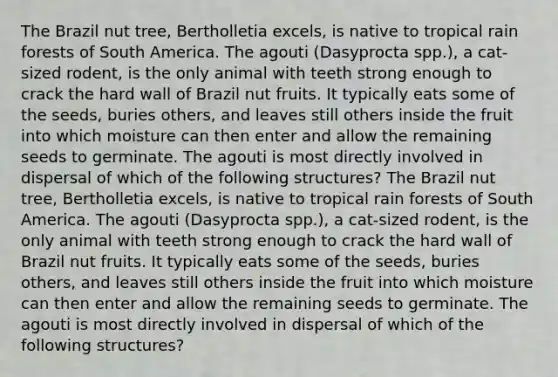 The Brazil nut tree, Bertholletia excels, is native to tropical rain forests of South America. The agouti (Dasyprocta spp.), a cat-sized rodent, is the only animal with teeth strong enough to crack the hard wall of Brazil nut fruits. It typically eats some of the seeds, buries others, and leaves still others inside the fruit into which moisture can then enter and allow the remaining seeds to germinate. The agouti is most directly involved in dispersal of which of the following structures? The Brazil nut tree, Bertholletia excels, is native to tropical rain forests of South America. The agouti (Dasyprocta spp.), a cat-sized rodent, is the only animal with teeth strong enough to crack the hard wall of Brazil nut fruits. It typically eats some of the seeds, buries others, and leaves still others inside the fruit into which moisture can then enter and allow the remaining seeds to germinate. The agouti is most directly involved in dispersal of which of the following structures?