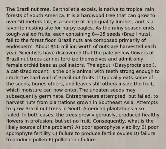 The Brazil nut tree, Bertholletia excels, is native to tropical rain forests of South America. It is a hardwood tree that can grow to over 50 meters tall, is a source of high-quality lumber, and is a favorite nesting site for harpy eagles. As the rainy season ends, tough-walled fruits, each containing 8—25 seeds (Brazil nuts), fall to the forest floor. Brazil nuts are composed primarily of endosperm. About 50 million worth of nuts are harvested each year. Scientists have discovered that the pale yellow flowers of Brazil nut trees cannot fertilize themselves and admit only female orchid bees as pollinators. The agouti (Dasyprocta spp.), a cat-sized rodent, is the only animal with teeth strong enough to crack the hard wall of Brazil nut fruits. It typically eats some of the seeds, buries others, and leaves still others inside the fruit, which moisture can now enter. The uneaten seeds may subsequently germinate. Entrepreneurs attempted, but failed, to harvest nuts from plantations grown in Southeast Asia. Attempts to grow Brazil nut trees in South American plantations also failed. In both cases, the trees grew vigorously, produced healthy flowers in profusion, but set no fruit. Consequently, what is the likely source of the problem? A) poor sporophyte viability B) poor sporophyte fertility C) failure to produce fertile ovules D) failure to produce pollen E) pollination failure