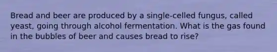 Bread and beer are produced by a single-celled fungus, called yeast, going through alcohol fermentation. What is the gas found in the bubbles of beer and causes bread to rise?