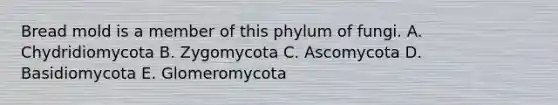 Bread mold is a member of this phylum of fungi. A. Chydridiomycota B. Zygomycota C. Ascomycota D. Basidiomycota E. Glomeromycota